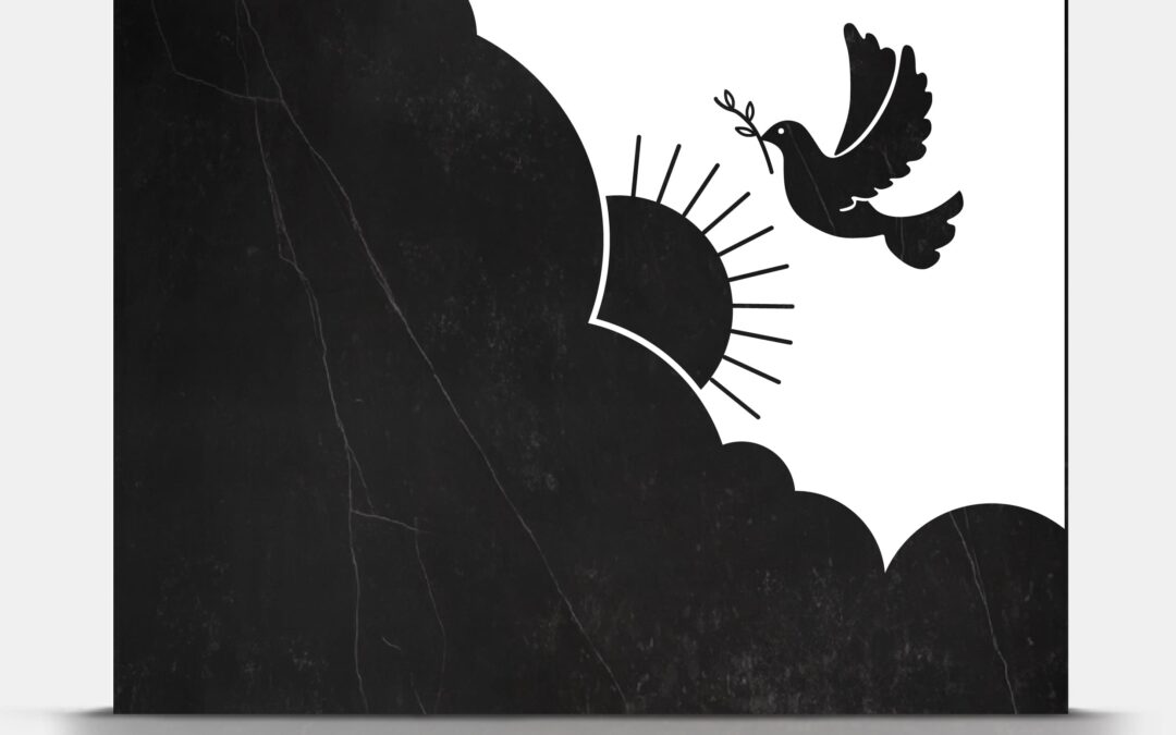 Lapida_02-43_moderna_diferente_paloma_sol