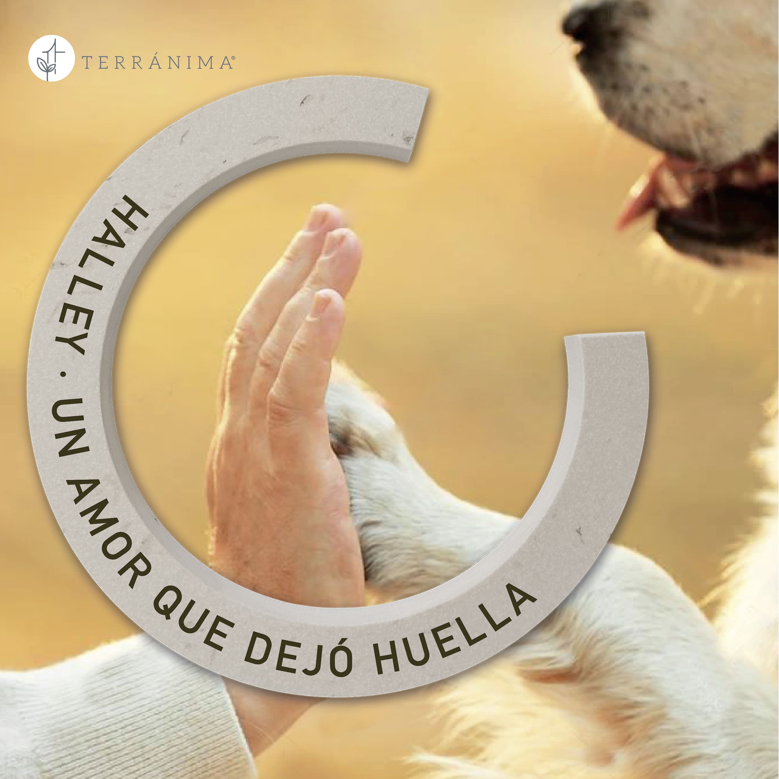 Memorial_mascotas_marcador_cenizas_terranima_2